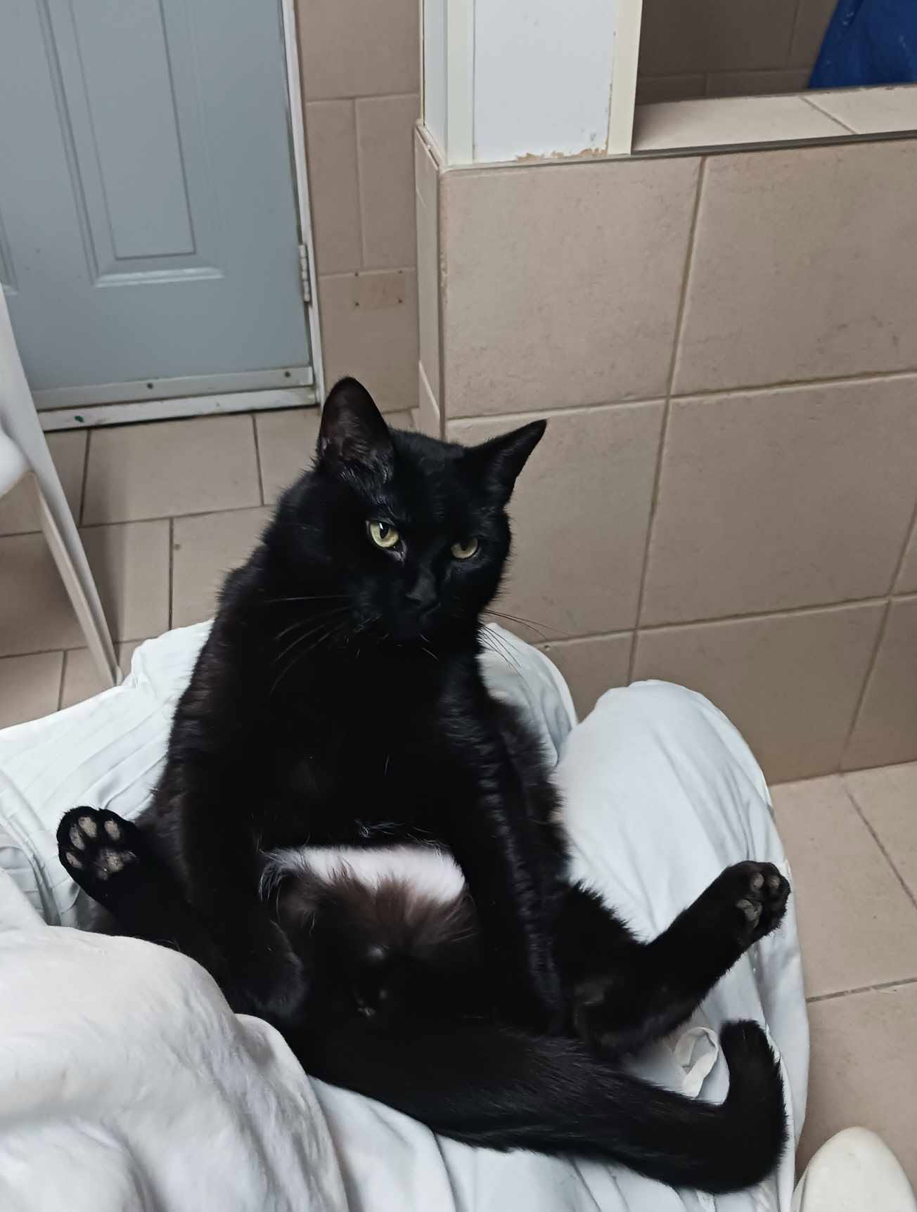 ...